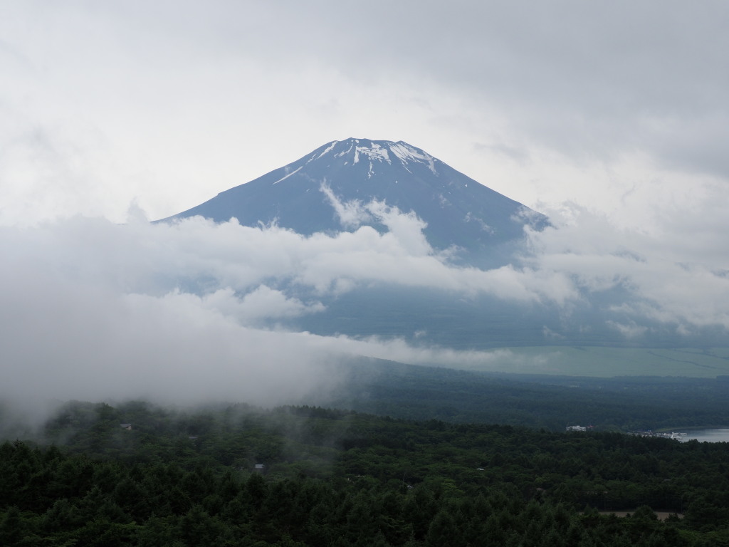 6/21 ��u�̕x�m�R