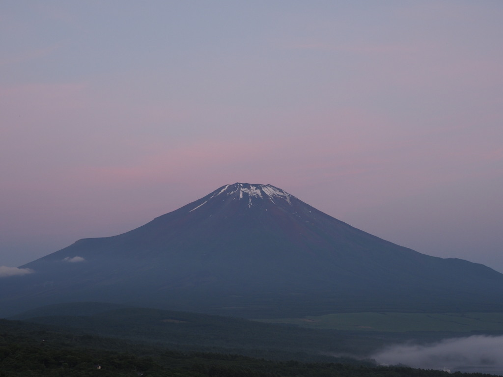 6/22 ���Ă��̕x�m�R