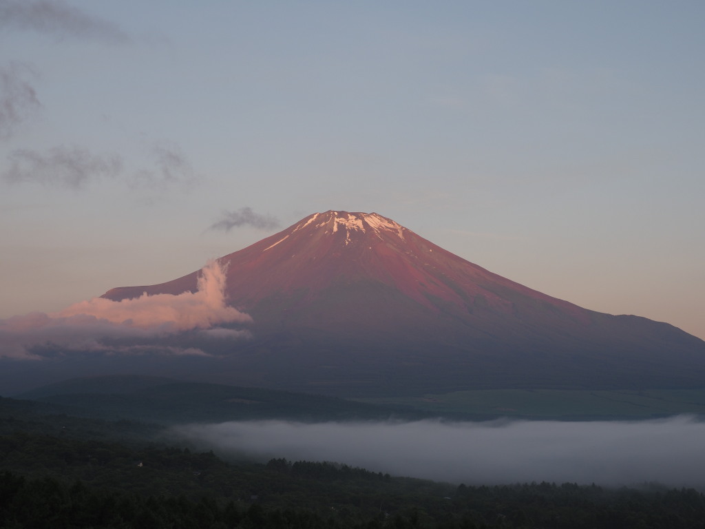 6/22 �ق�̂�ԕx�m