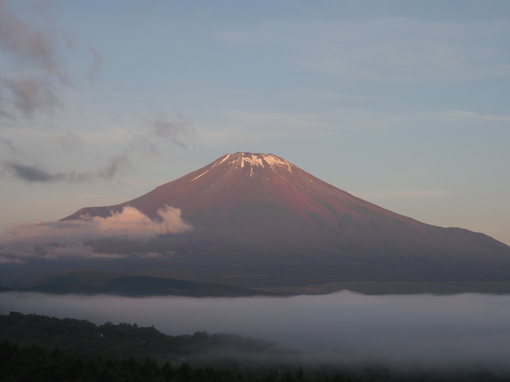 6/22 �_�C�Ɛԕx�m