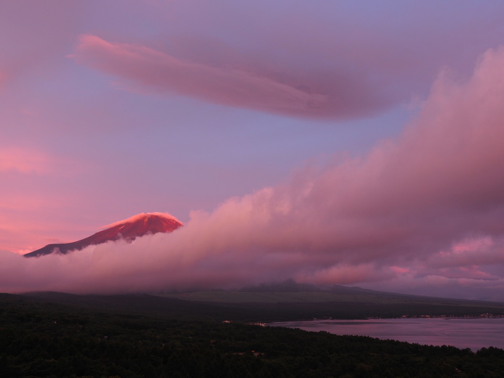 7/8 ���Ă��̕x�m�R