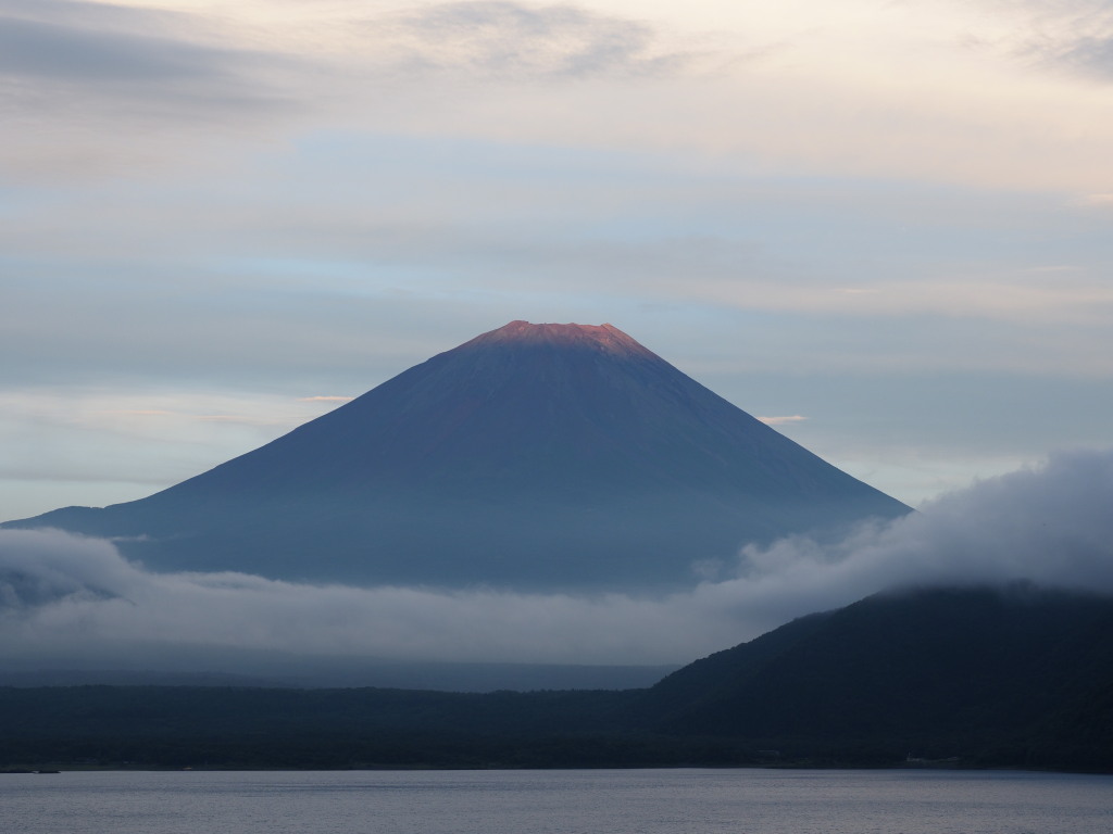 7/8 �R������