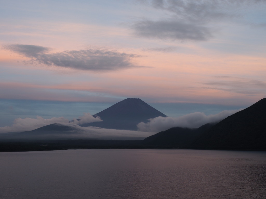 7/8 �[�Ă��̕x�m�R