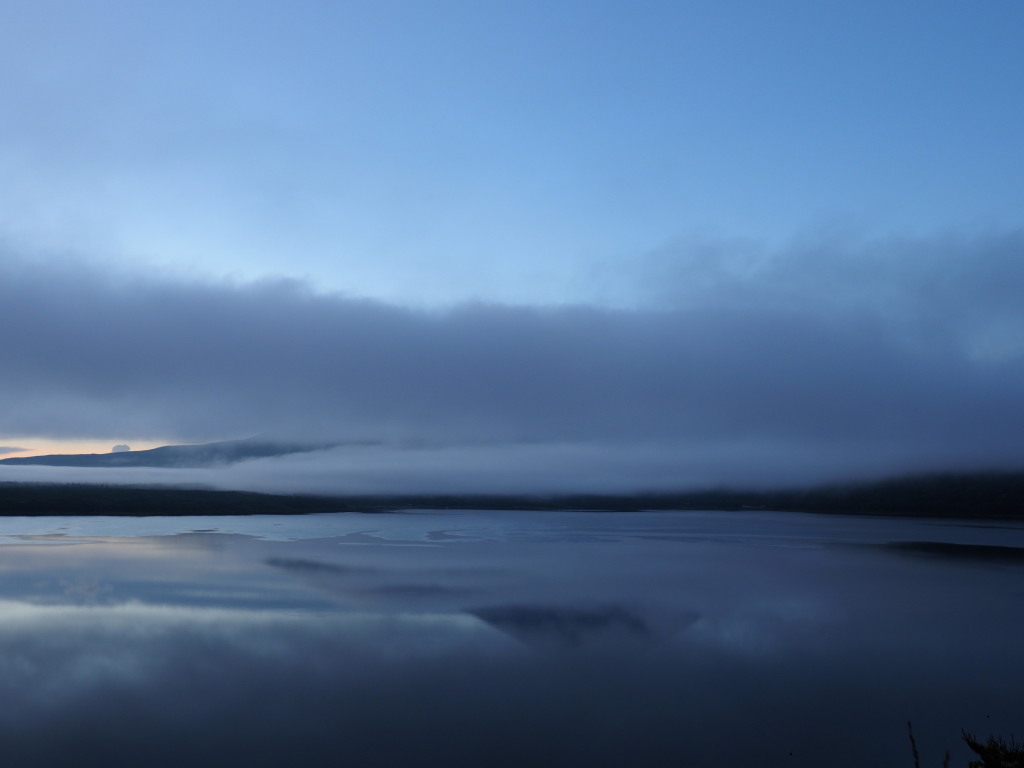 7/9 �����Ȃ��t���x�m