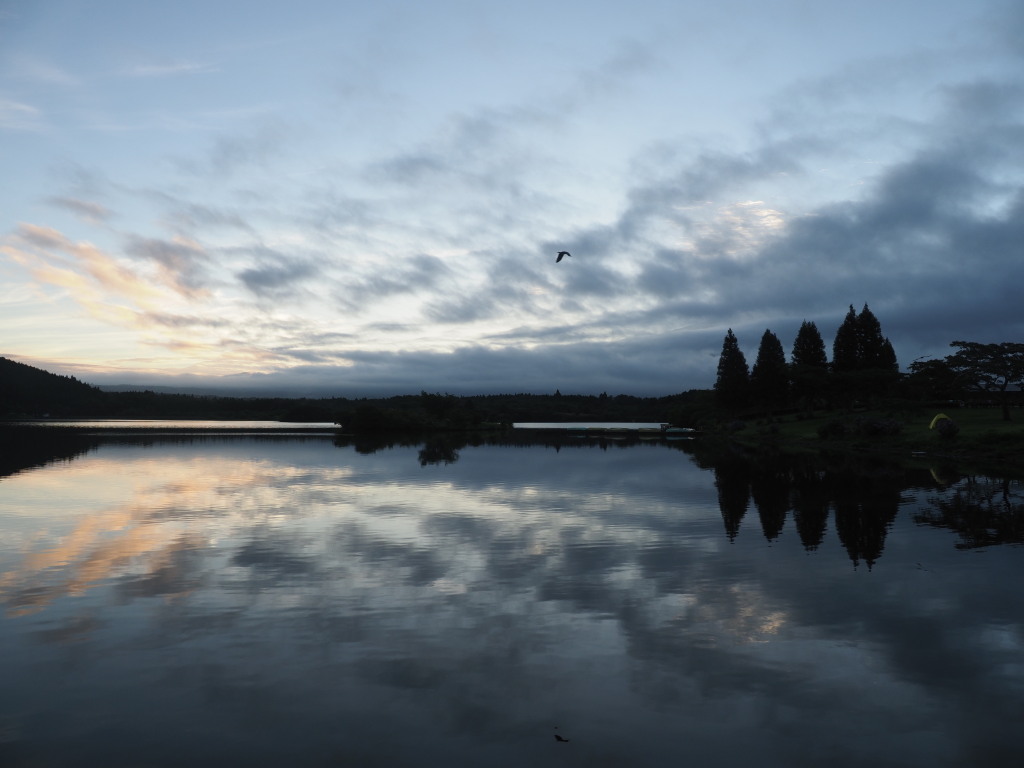 7/10 �_�̒��̒��Ă�