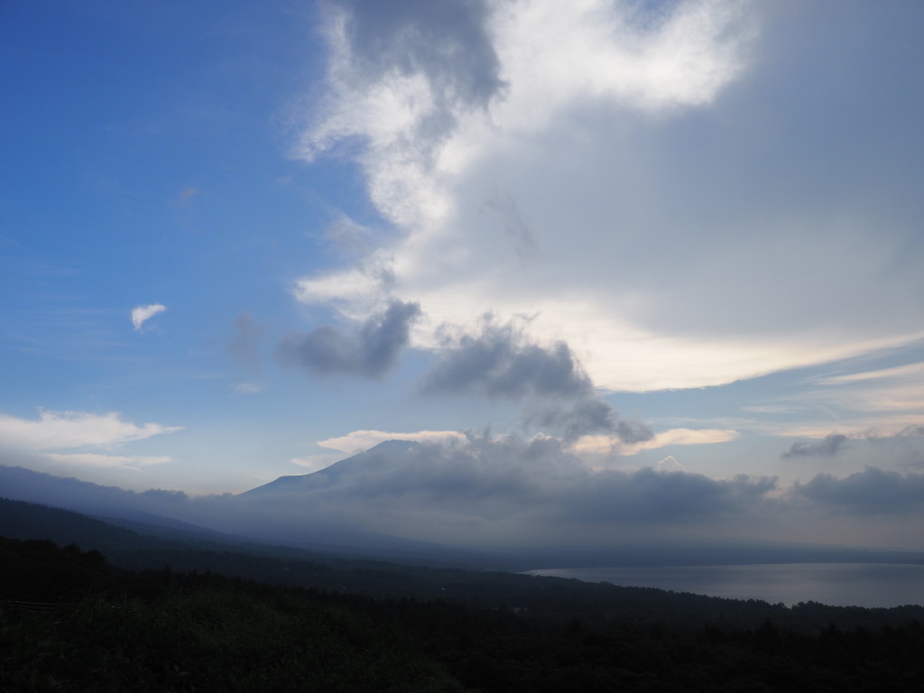 7/19 �_�ƕx�m�R