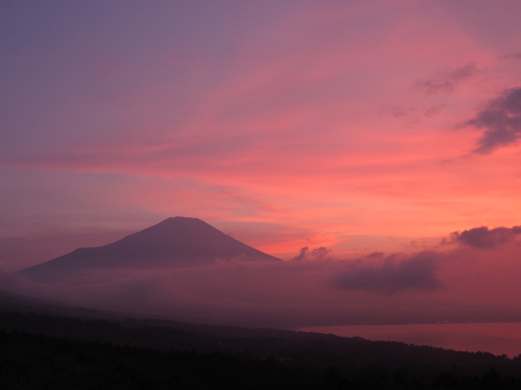 7/19 �[�Ă����Ă�(2)