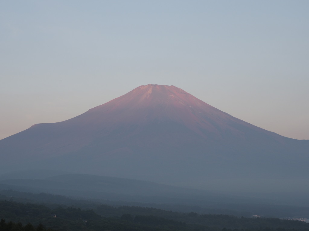 7/20 �����񂾕x�m�R