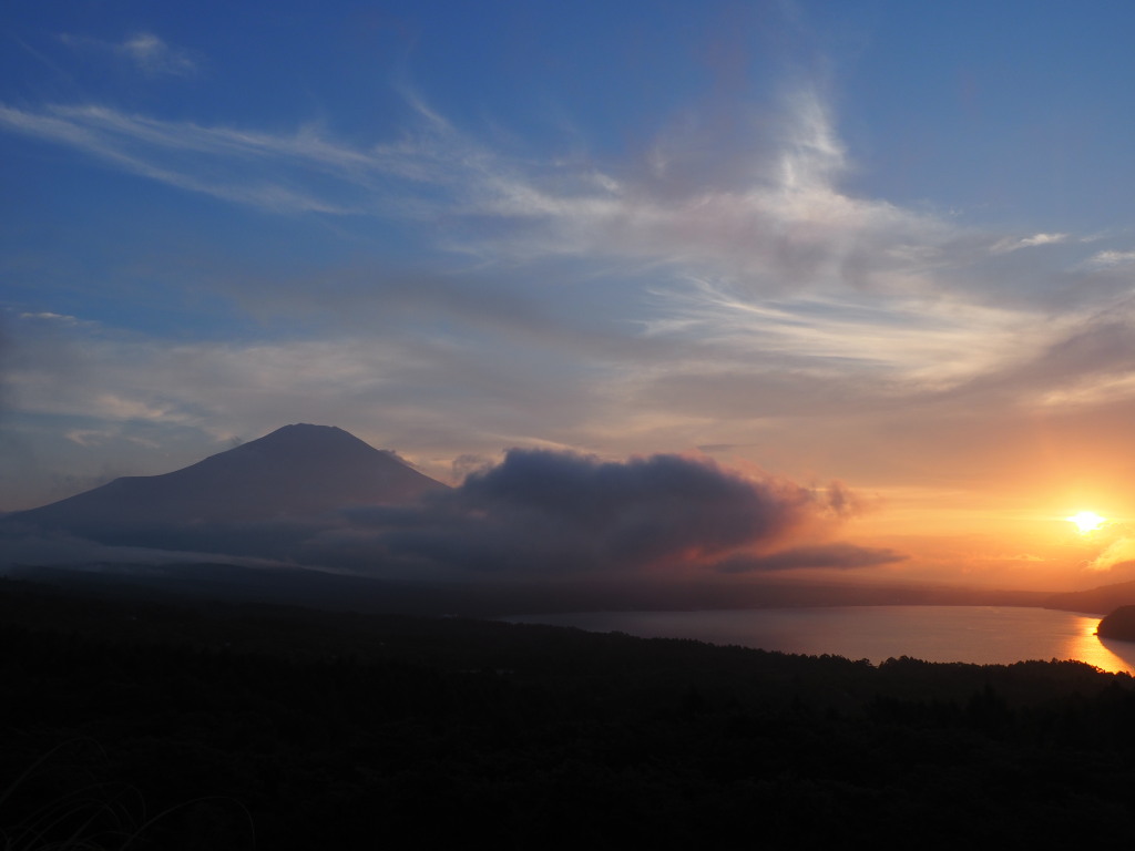 7/20 ���̓���̕x�m�R