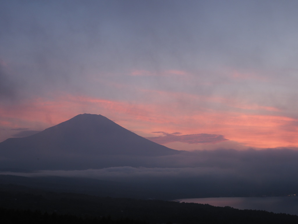 7/20 �[�Ă����Ă�(2)