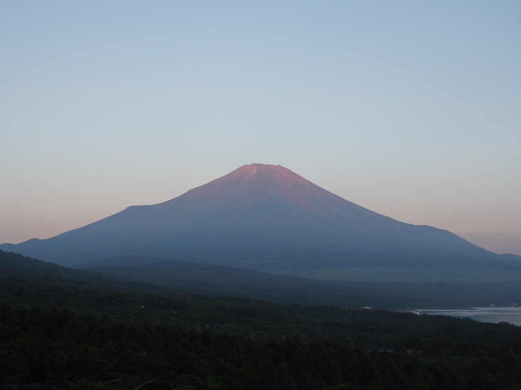 7/21 �R���Ɍ�