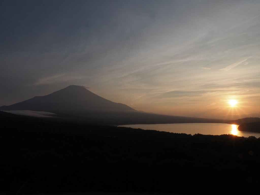 7/21 ���̓���̕x�m�R