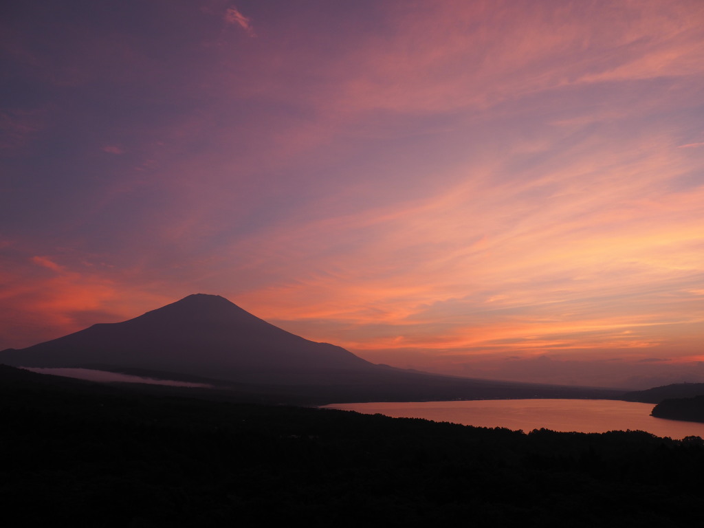 7/21 �[�Ă����Ă�