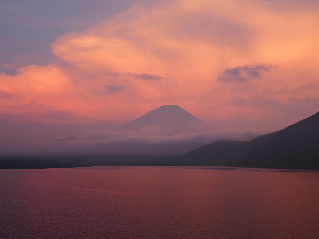 7/22 �[�Ă����Ă�(2)