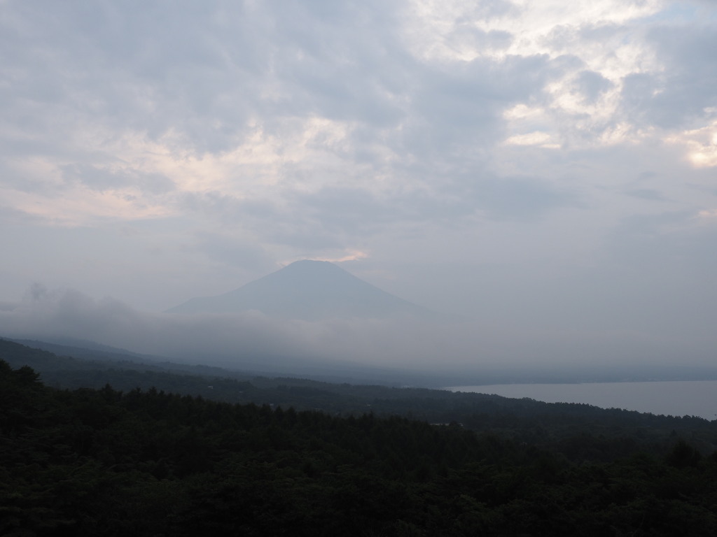 8/4 ��u�̕x�m�R