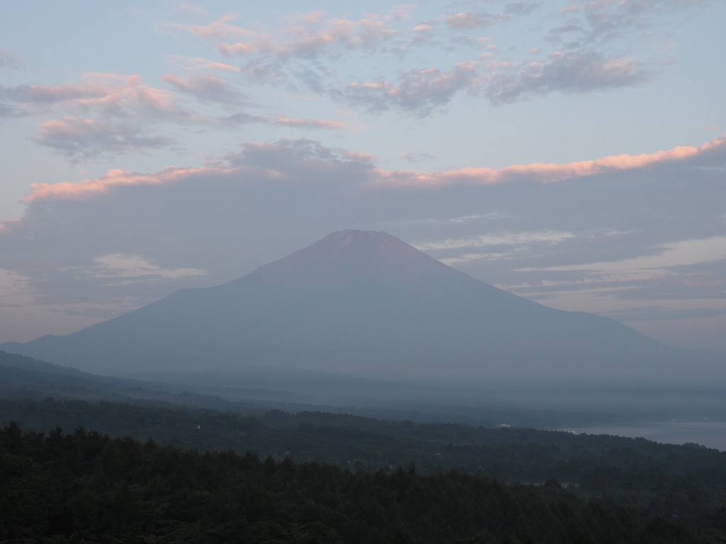 8/6 �x�m�R���ɂق�̂��