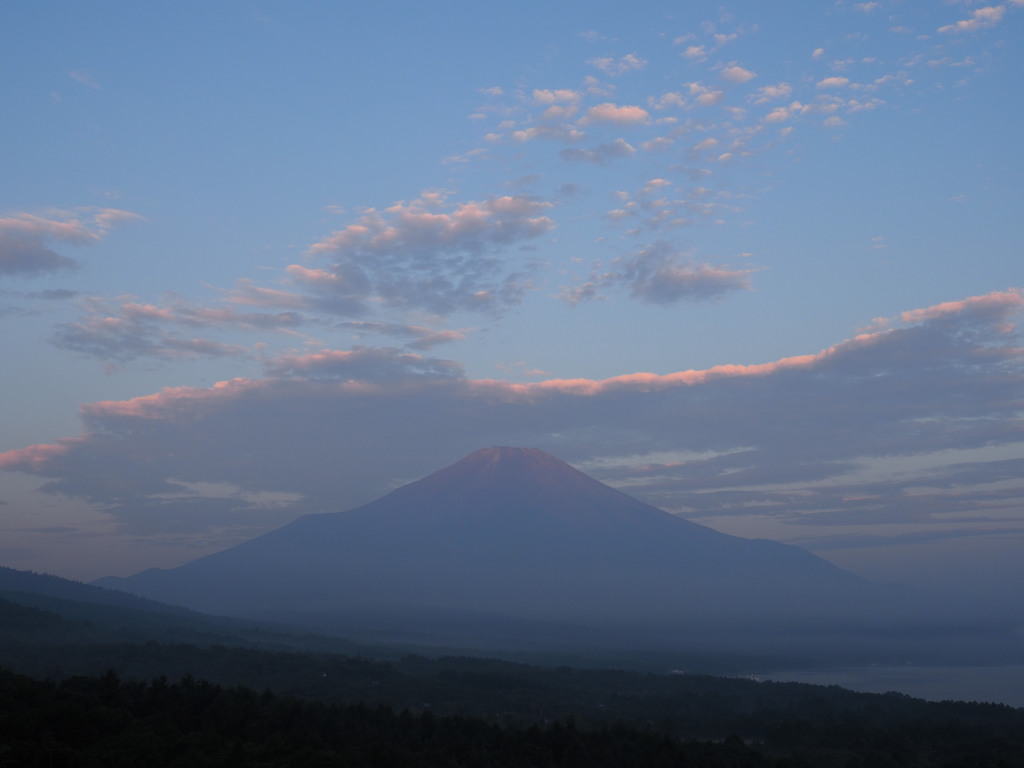 8/6 ���Ă��̕x�m�R