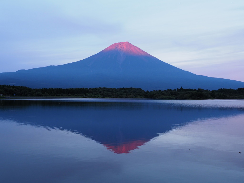 8/19 �v�X�Ԃ�