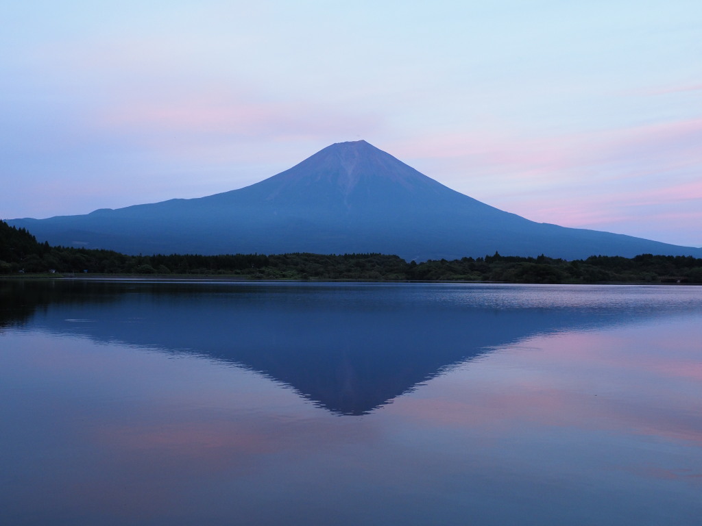 8/19 �ق�̂�[�Ă�