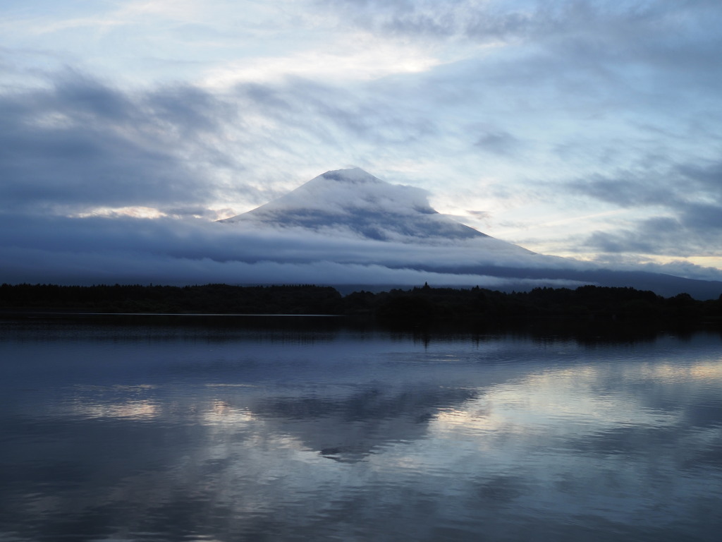 8/21 ��u�̕x�m�R