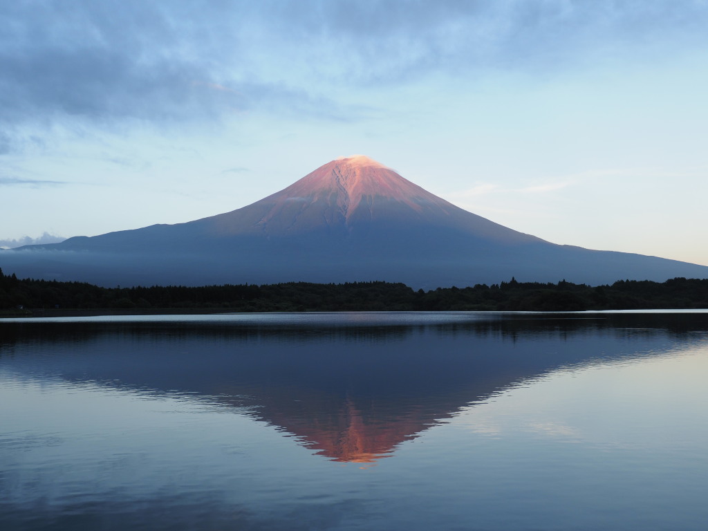 8/21 �t���ԕx�m