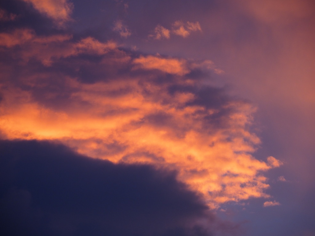 9/7 ���Ă�(2)