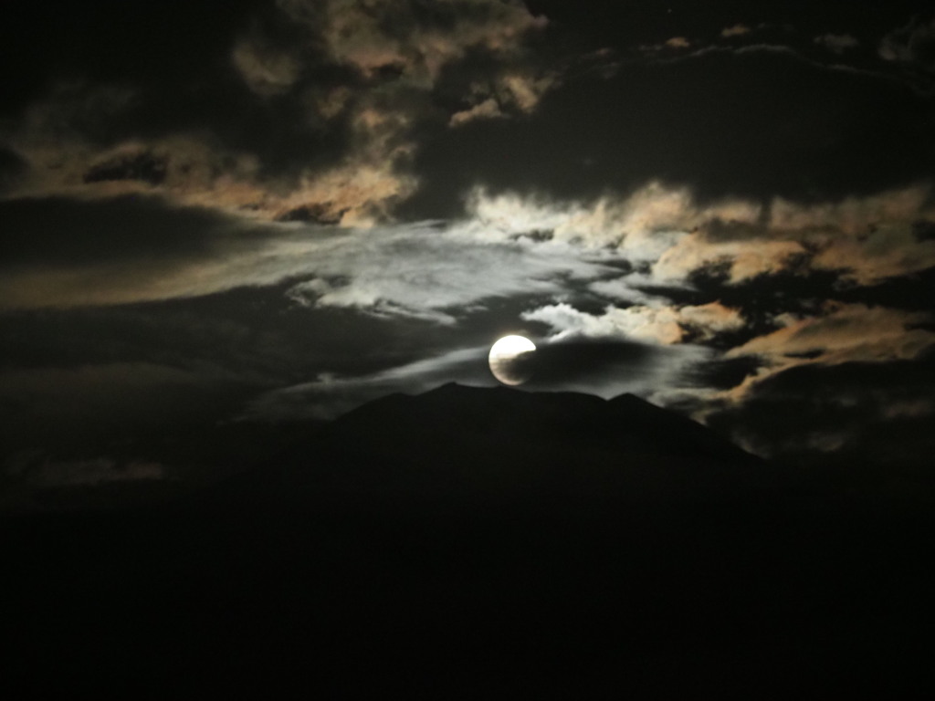 9/24 ���H�̖�������