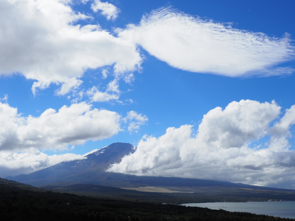 10/6 �݂邵�_�ƕx�m�R