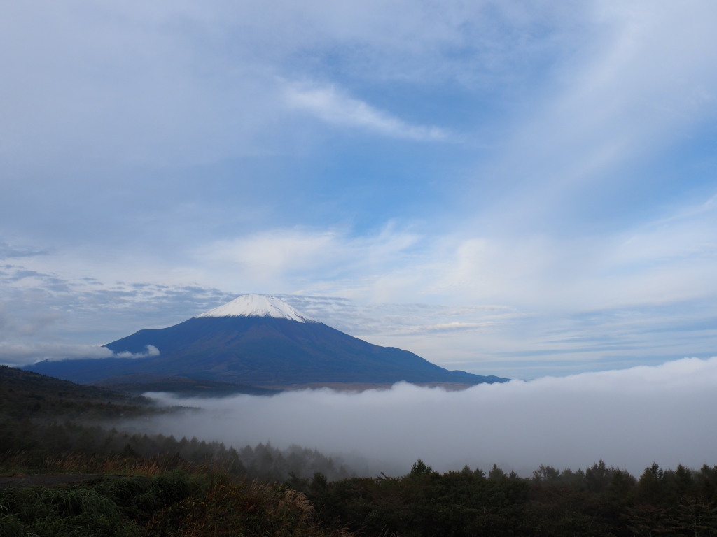 10/16 �_�C�ƕx�m�R