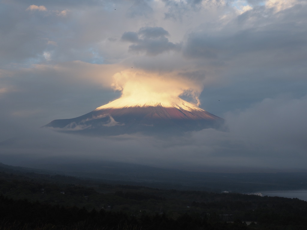 10/17 ���Ă��̕x�m�R