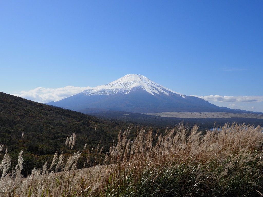 10/22 �O��������̕x�m�R