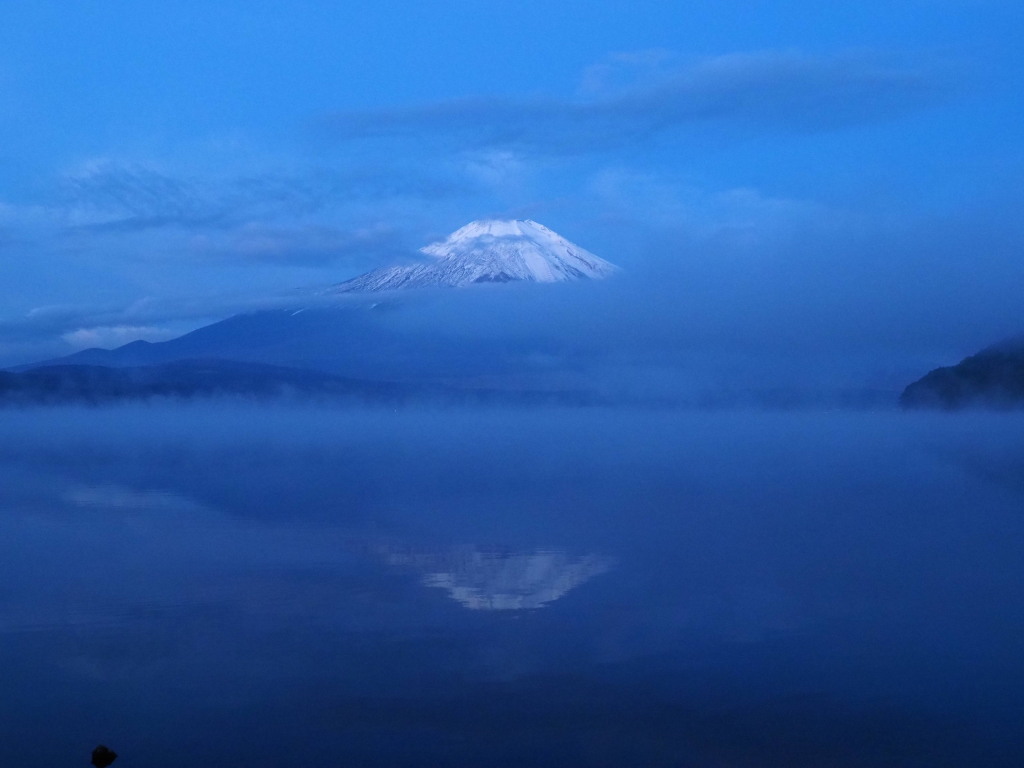 10/23 �_�C�̋t���x�m