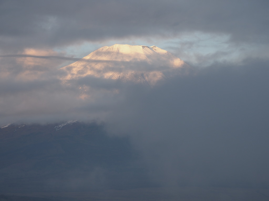 10/23 �_�̒��̒��Ă�