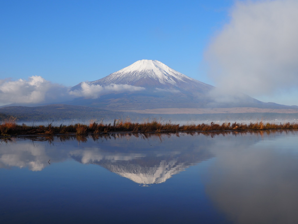 10/25 �t���x�m