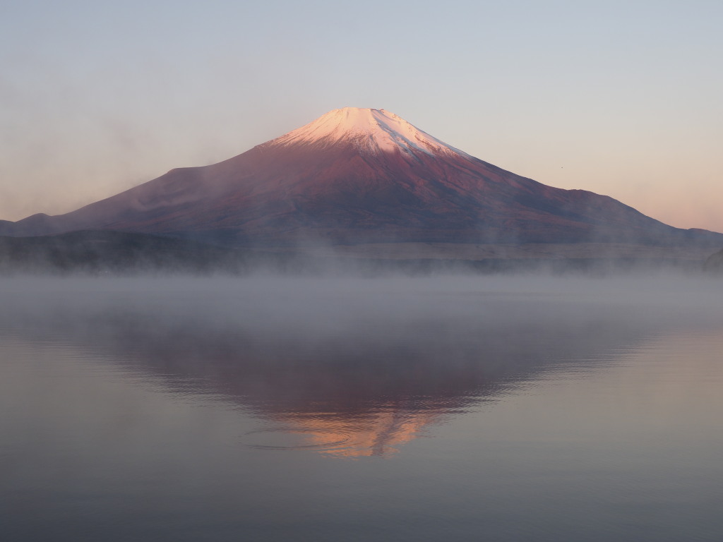 10/29 �g�x�m�Ɩї�