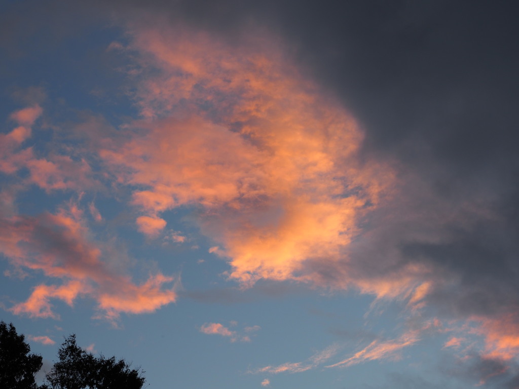 11/06 �J�̒��Ă�