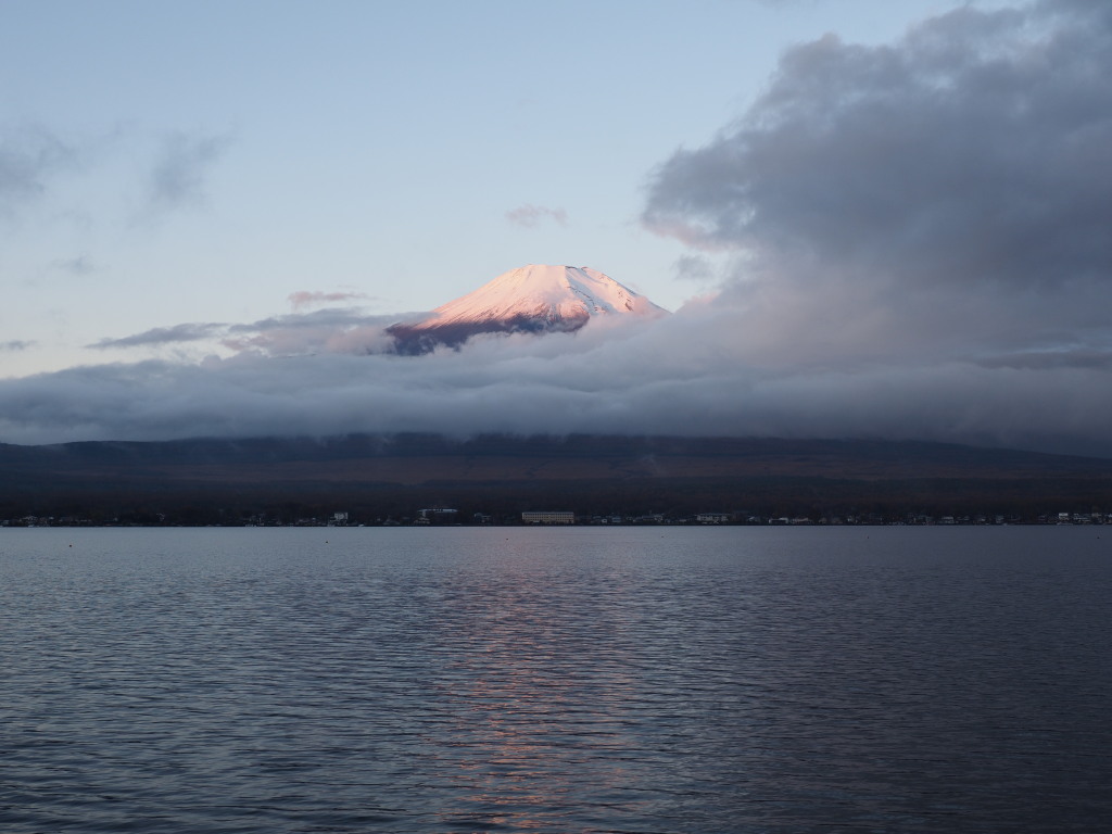 11/07 ��u�̕x�m�R