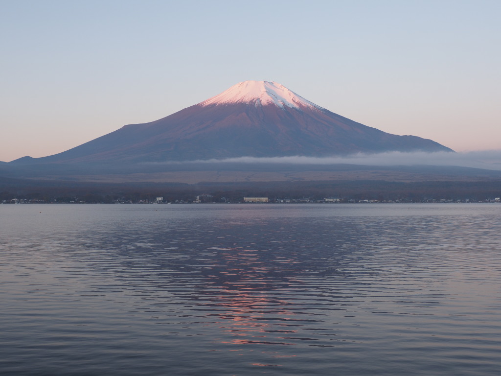 11/08 ���Ă��̕x�m�R