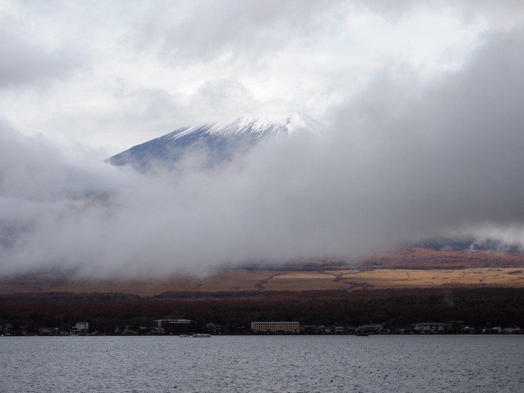 11/09 ��u�̕x�m�R