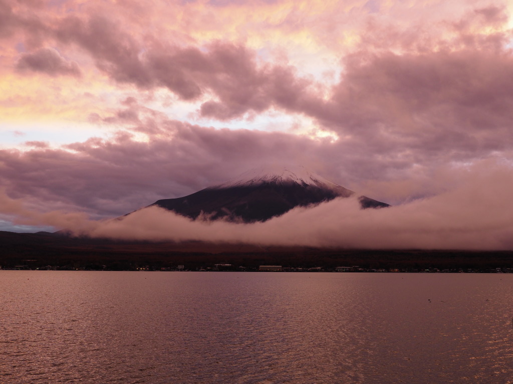 11/09 �I�����W�F�̗[�Ă�