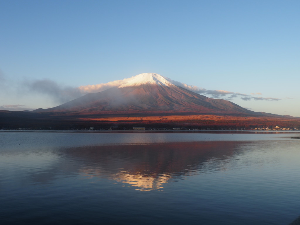 11/10 �t���x�m