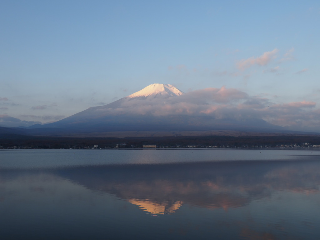 11/11 ���Ă��̋t���x�m