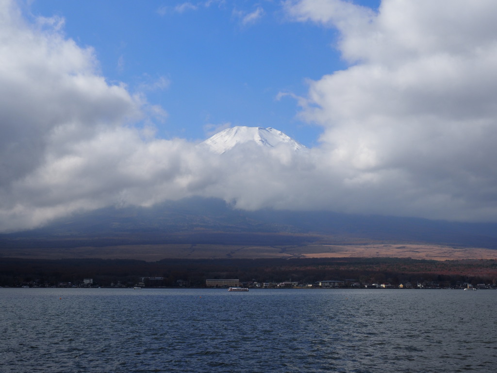 11/11 �_�̒��̕x�m�R