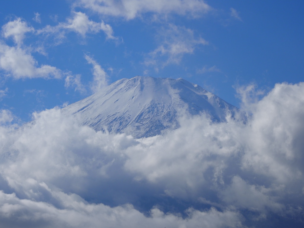 11/20 ���Ԃ̕x�m�R