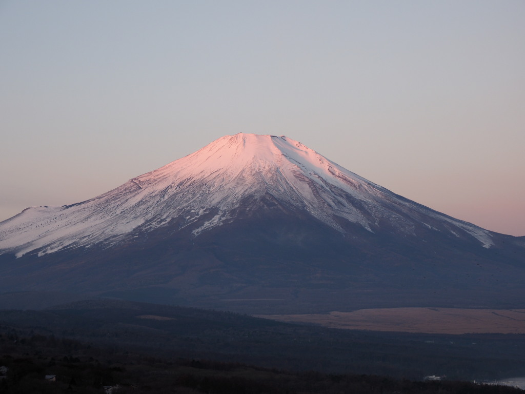 11/21 �ق�̂�g�x�m