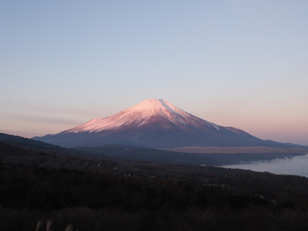 11/21 �ق�̂�g�x�m(2)