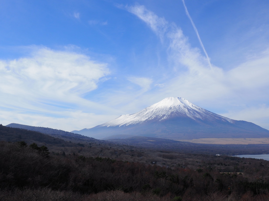 11/21 �_�ƕx�m�R