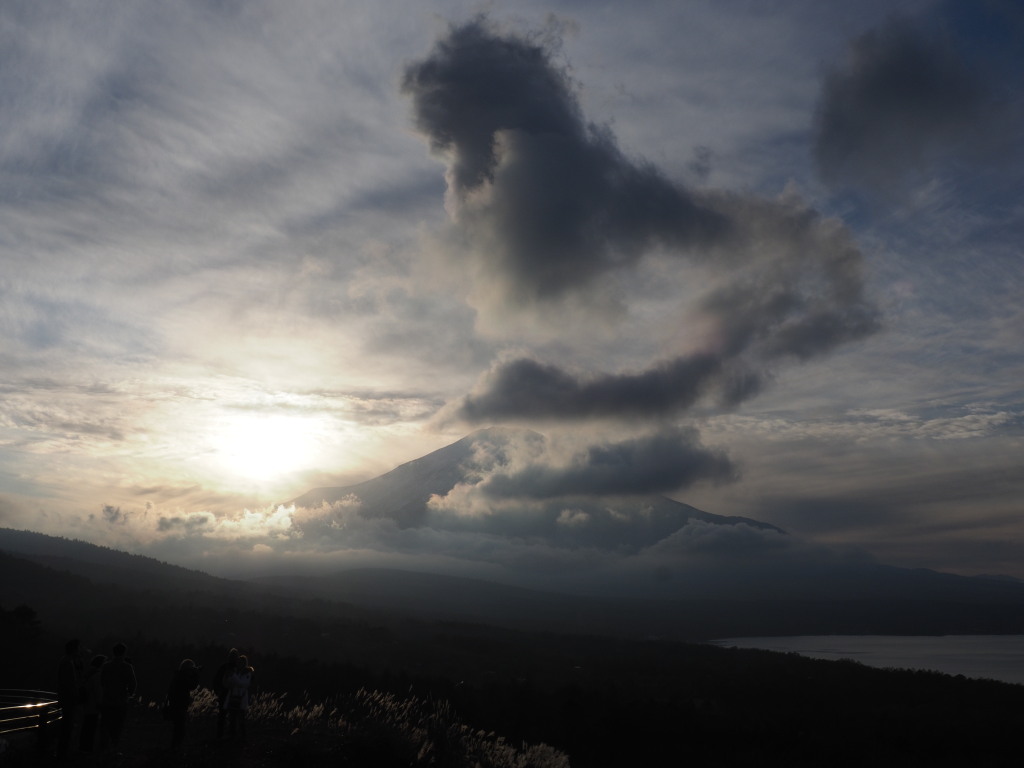 11/21 �_�ƕx�m�R(2)