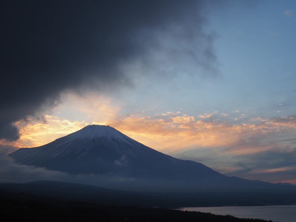 11/21 �_�Ɨ[�Ă�