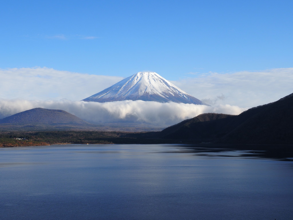 11/22 �������߂��x�m�R